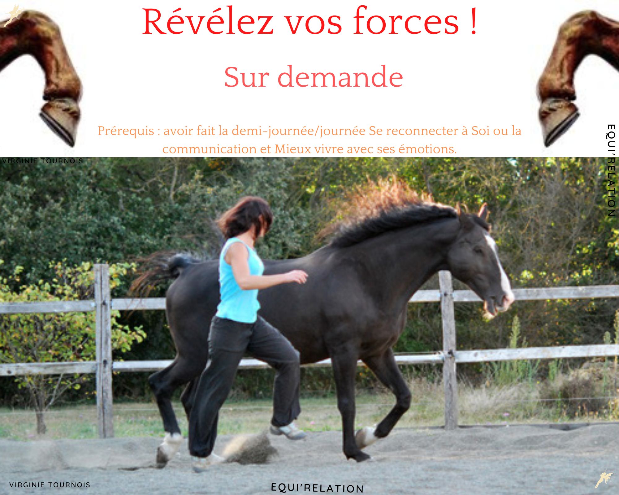 les stages(2)