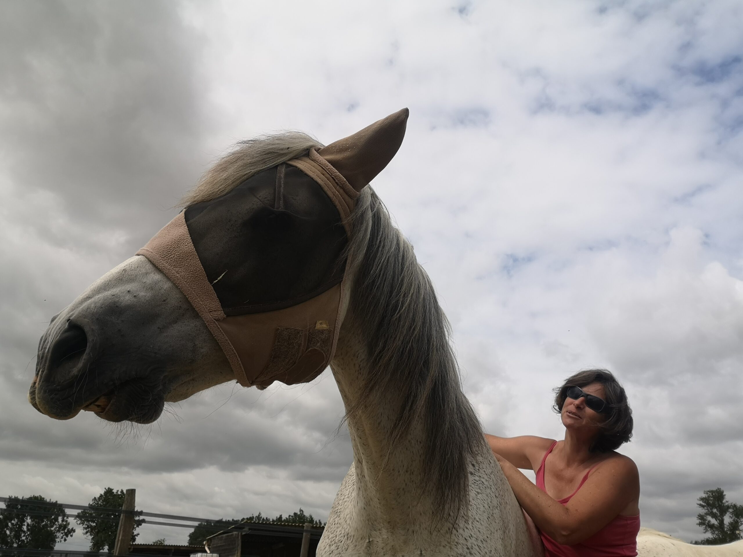 Grattes-grattes Blue et moi