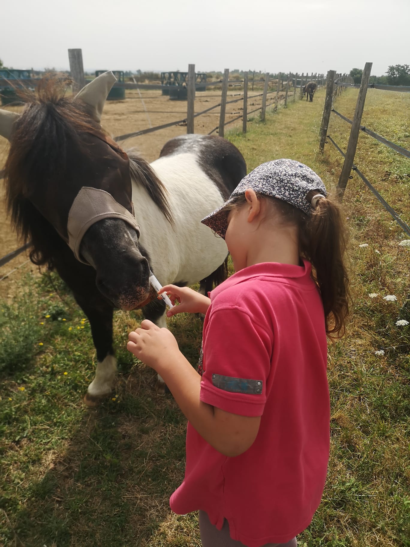 Compléments aux poneys