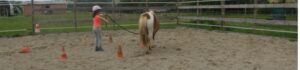 activite de communication entre enfant et poney