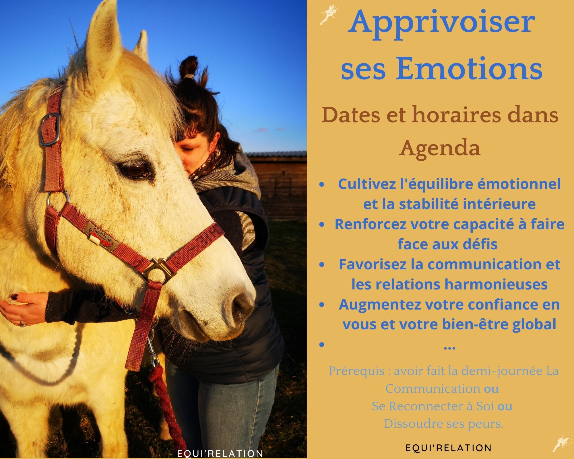 Stages 2 - Les Emotions