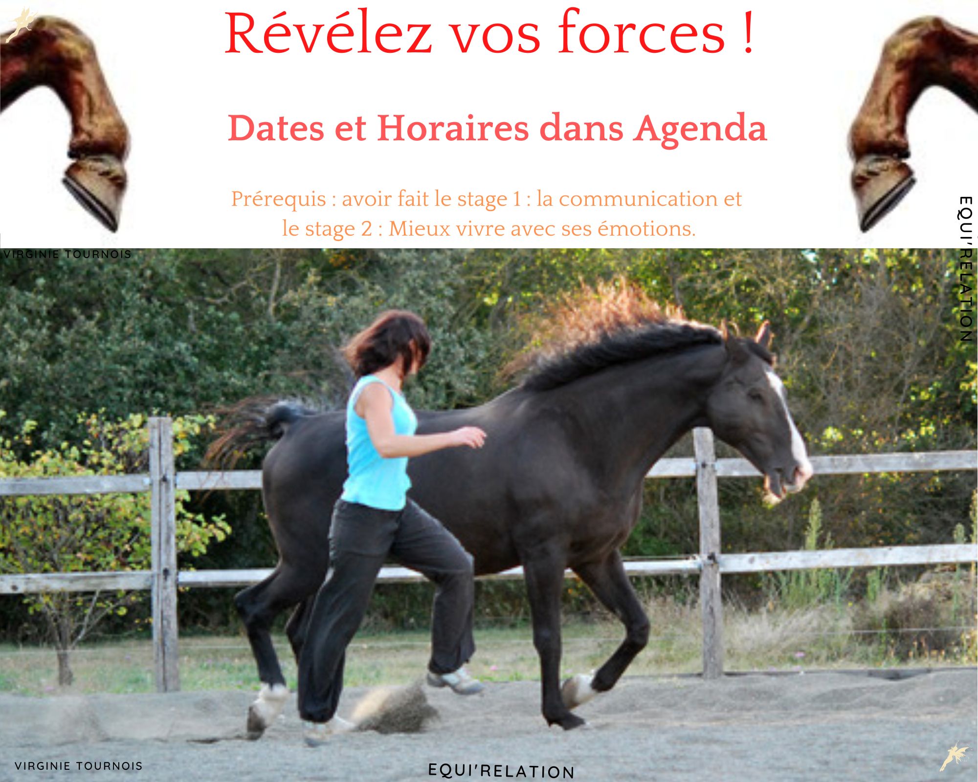Stage 3 : Enfants/Ados