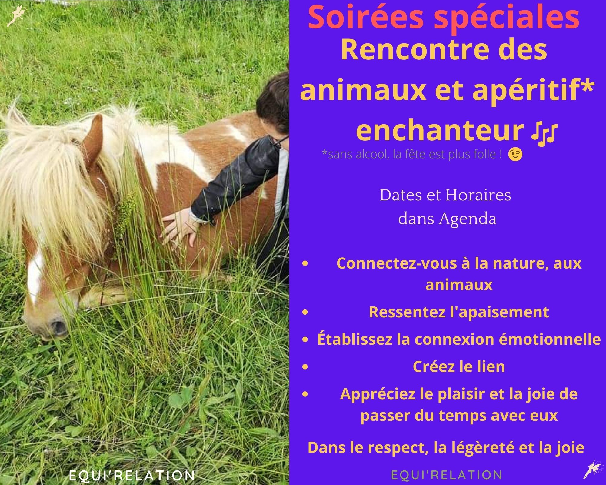 Rencontre avec Les Animaux