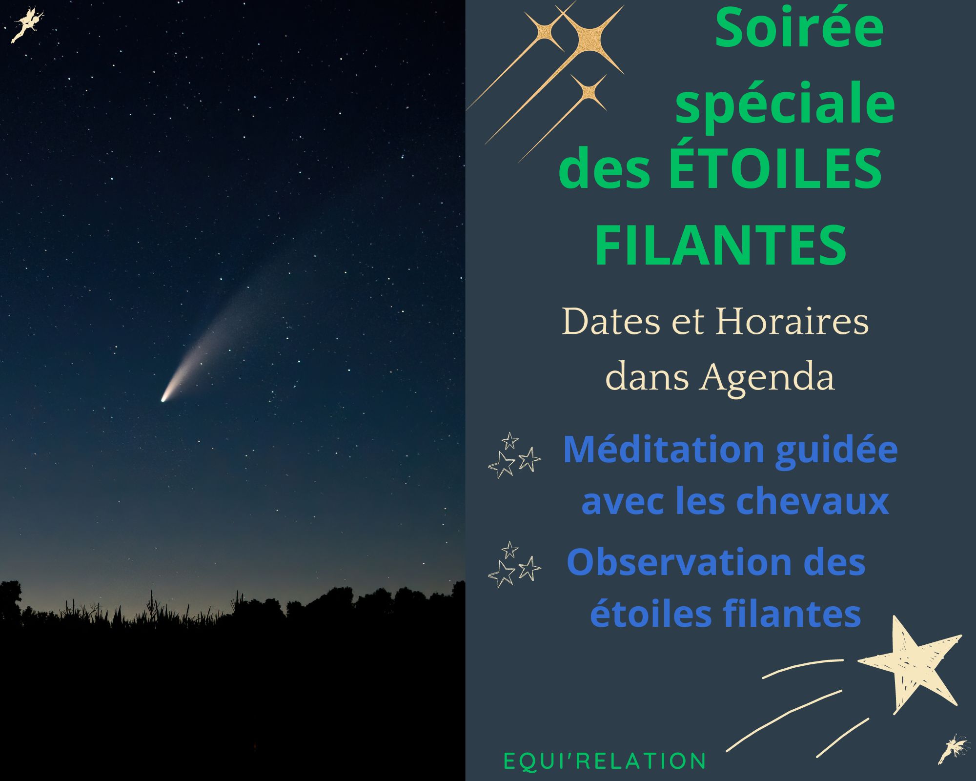 Soirée des étoiles filantes