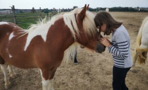 Adolescente et poney en tête contre tête