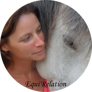 Logo Equi'Relation, stages et séances de relation et médiation équine