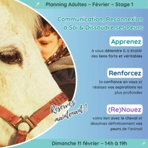 Stage la Communication
