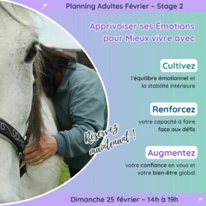 Stage Les Émotions