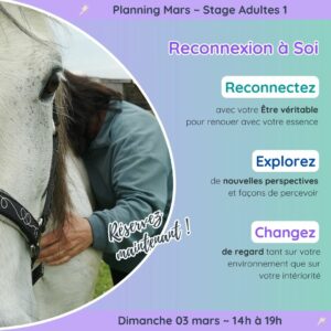 Stage Reconnexion à Soi le 3 mars
