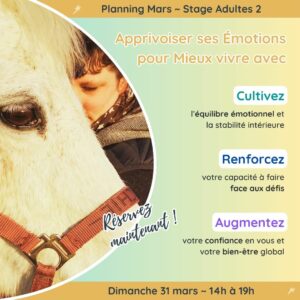 Stage Apprivoiser des émotions 31 mars