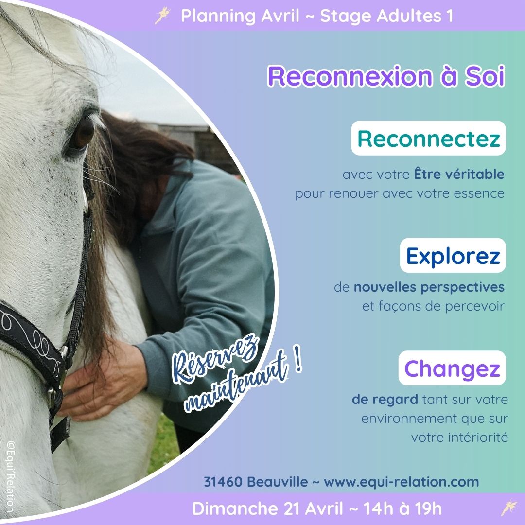 Stage Adultes 1 Reconnexion à Soi Dimanche 21 avril