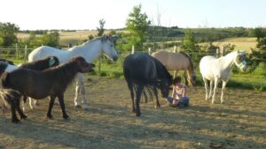 Virginie avec le troupeau d'Equi'Relation