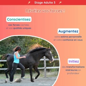 Agenda Stage adulte Révélez vos forces