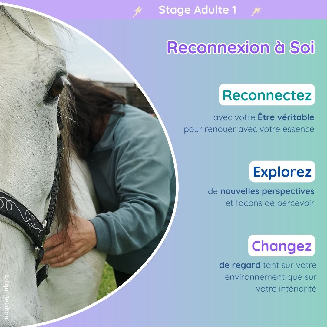 Agenda Stage adultes reconnexion a soi