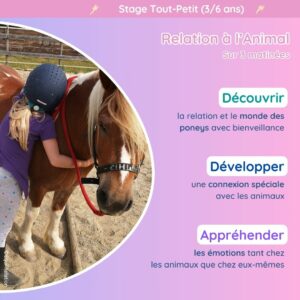 Stage tout petits poneys vacances scolaires