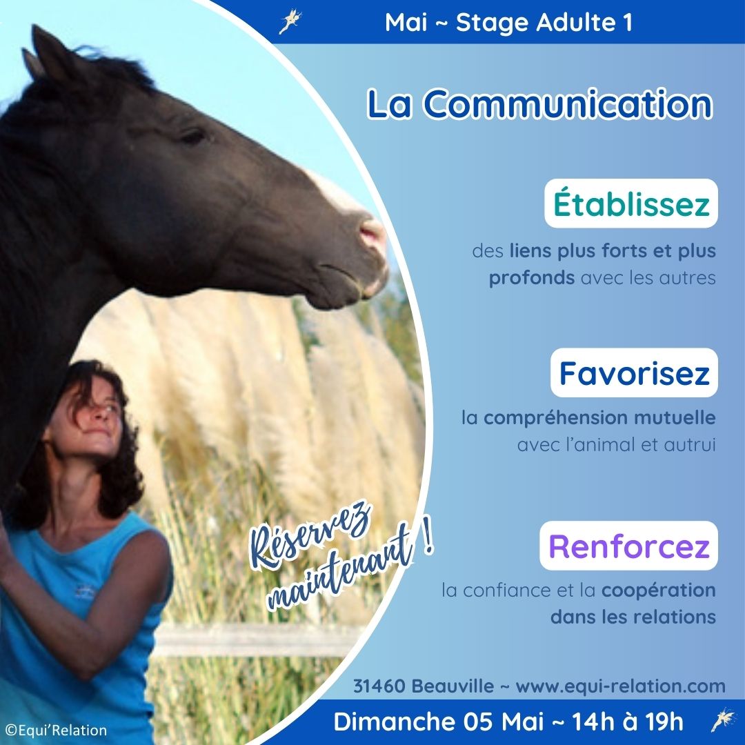 Stage Adultes 1 La Communication Dimanche 7 Avril