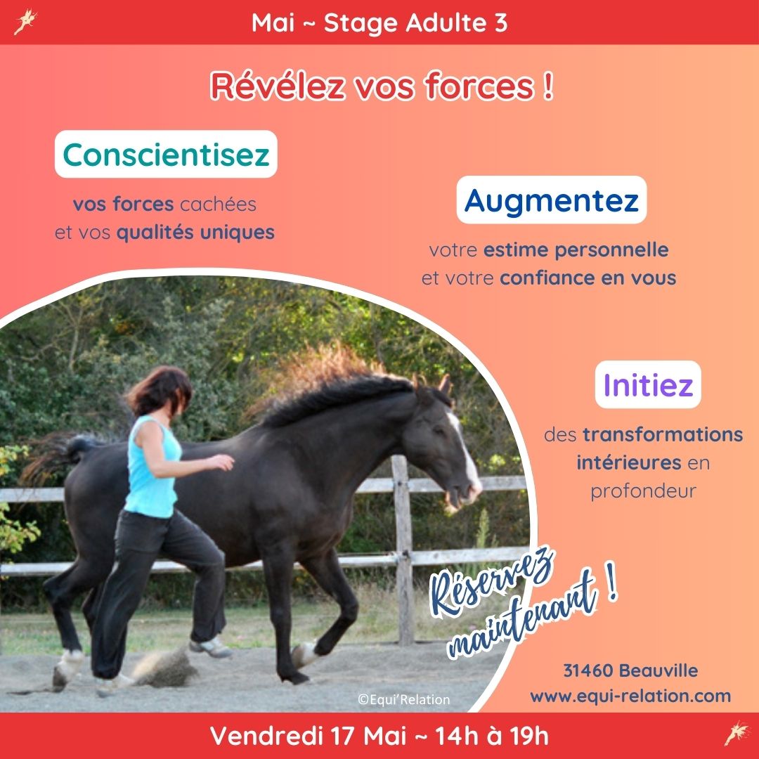 Stage Adultes 1 Reconnexion à Soi Dimanche 21 avril