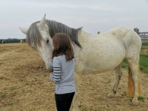 Adolescente et Poney se regardant dans le pré