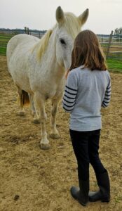 Adolescente et Poney qui se regardent