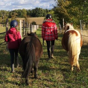 groupe d'enfants en promenade à côté du cheval