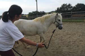 femme guidant à pied un poney dans la carrière