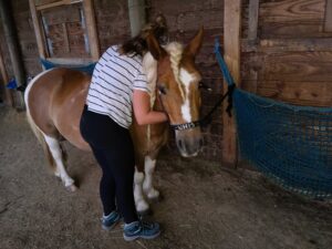 Adolescente calinant un poney sous un abri