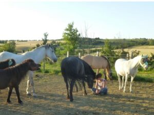 Virginie avec le troupeau d'Equi'Relation