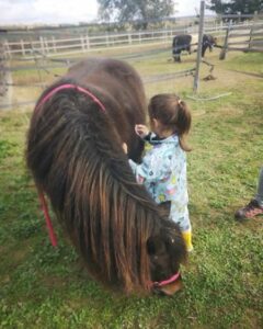 petite fille brossant un poney