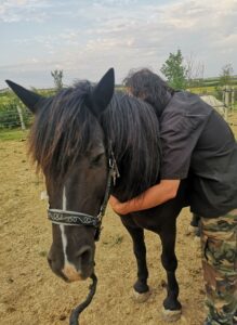 Homme calinant un poney