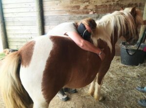 Femme se relaxant sur un poney