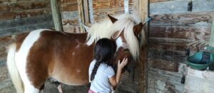 Petite enfant et poney se regardant