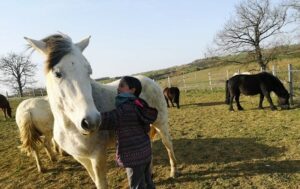 adolescente avec poney