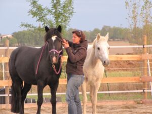 monitrice preparant les poneys
