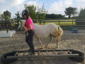 adolescente guidant un poney dans la carrière