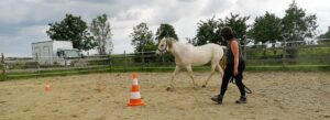 Femme guidant un cheval à pied