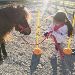 petite fille s'exerçant au cerceau avec un poney