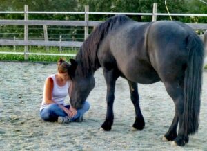 Le Poney Verdim et Virginie