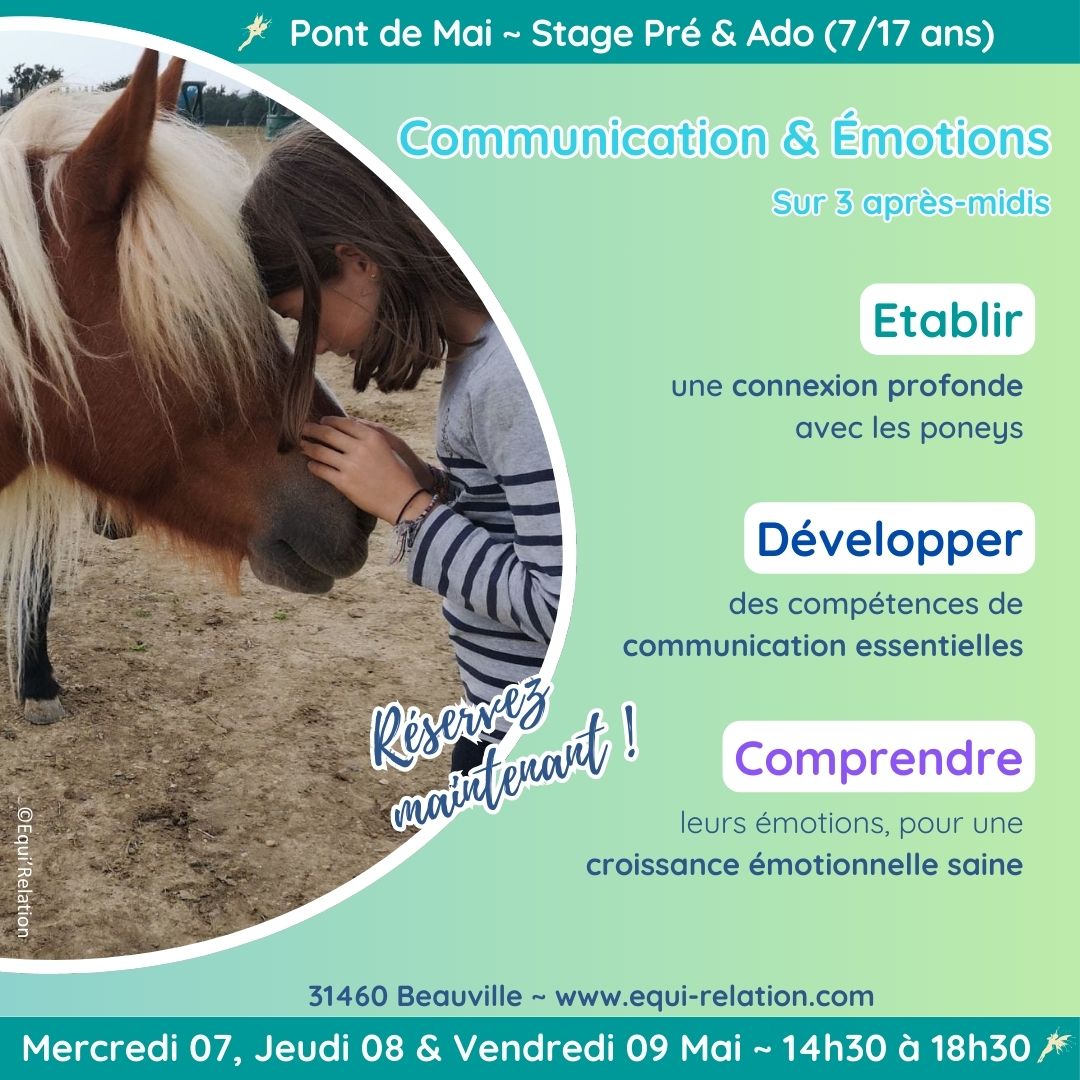 Stage Rencontre Tout Petits Poneys Noel