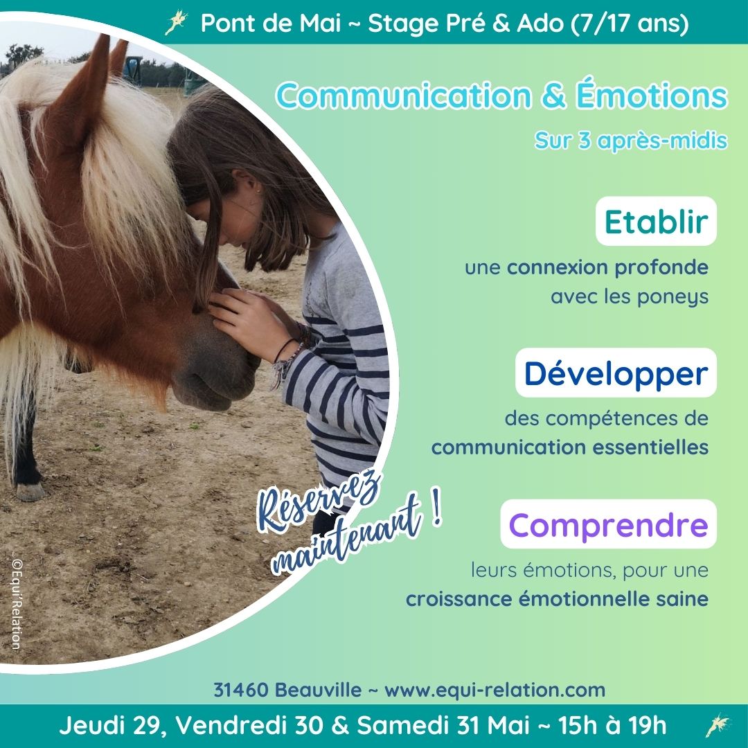 Stage Découvrir la Monte à cru Poneys Noel