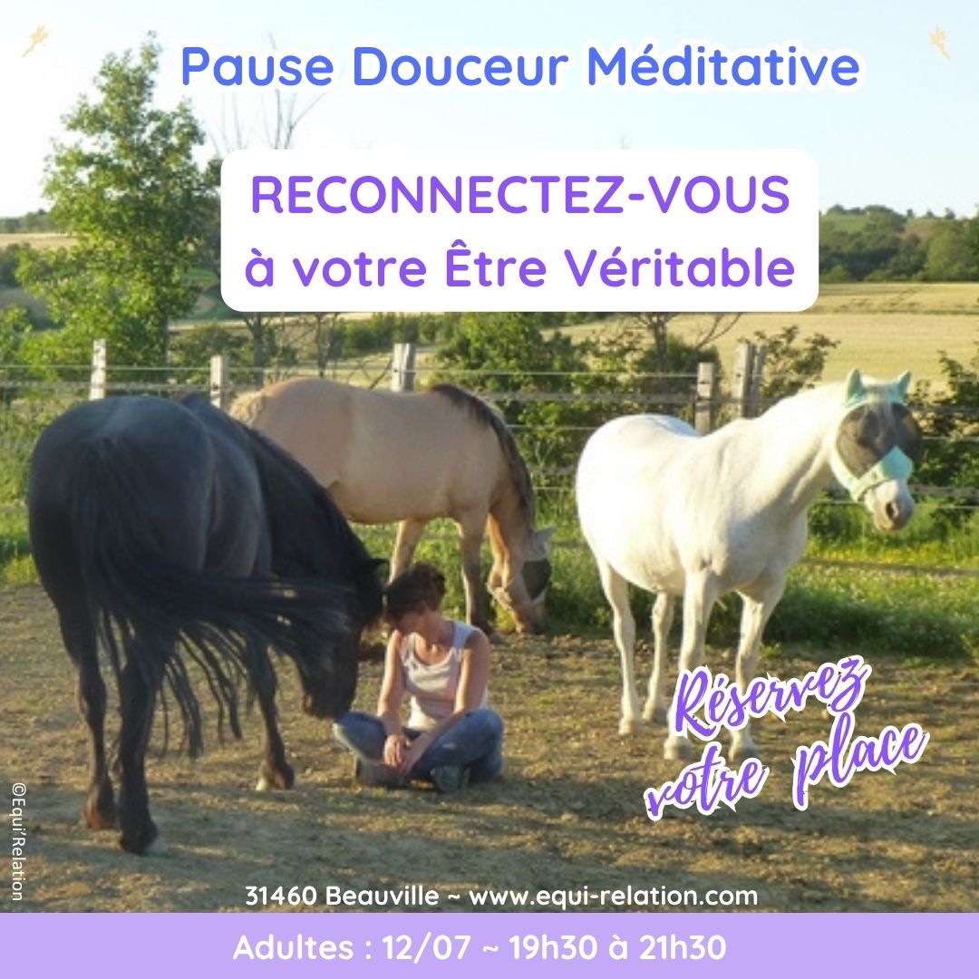 Agenda Stage adulte sur les émotions