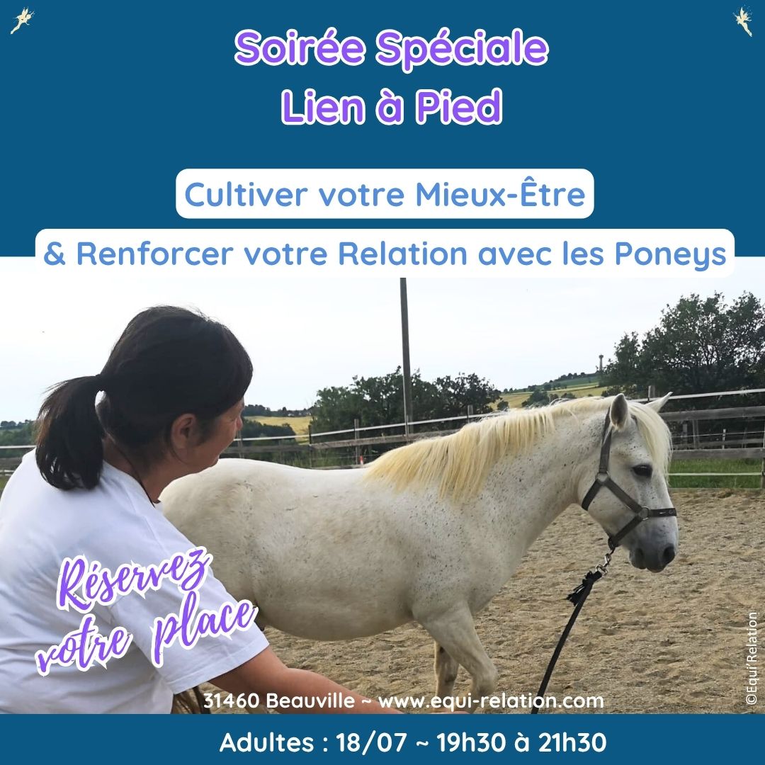 Agenda Stage adultes reconnexion a soi