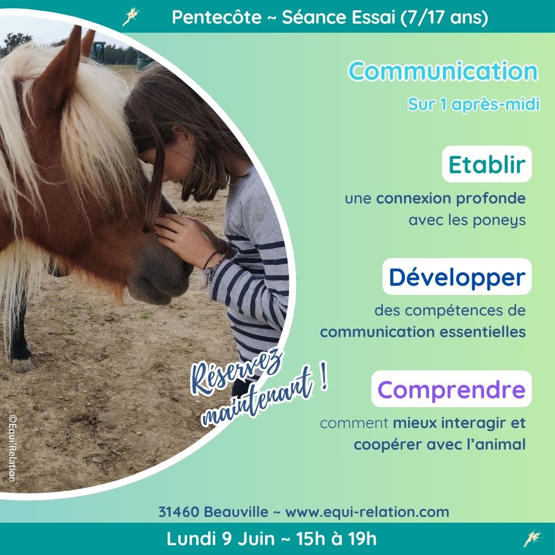 Stage Rencontre Tout Petits Poneys Noel