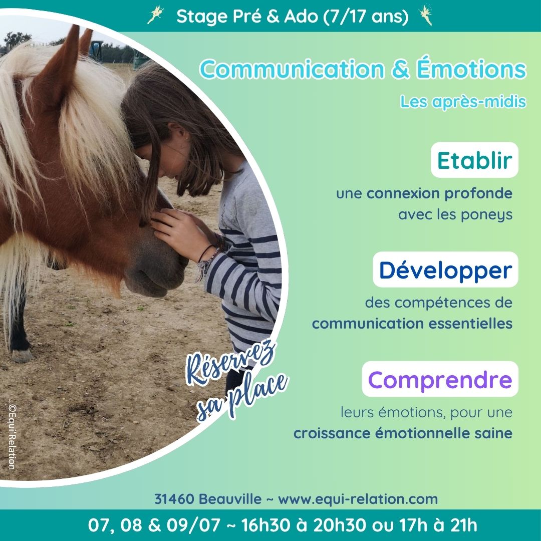 Stage Rencontre Tout Petits Poneys Noel