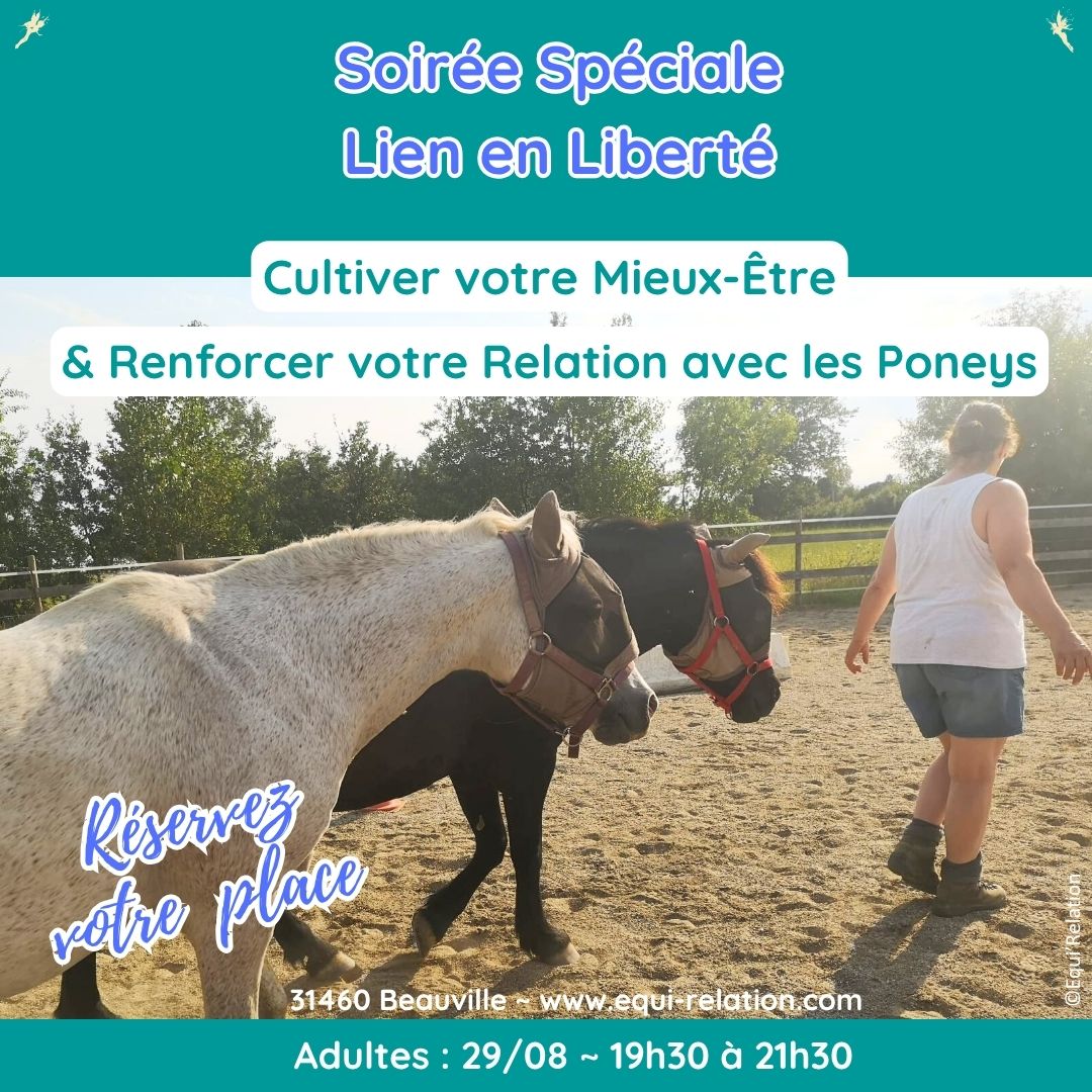 pause douceur méditative avec les poneys
