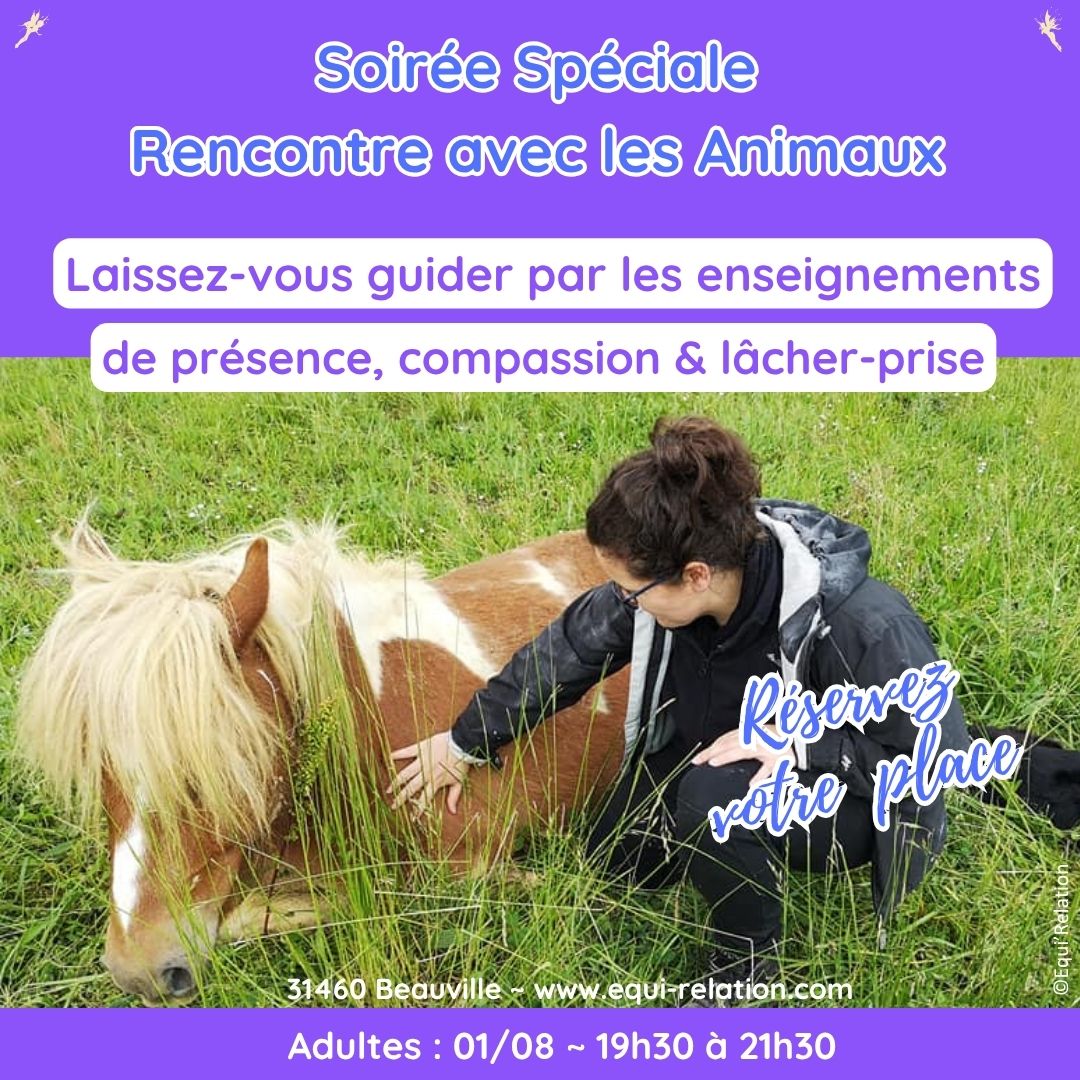 Agenda Stage adulte sur la Communication