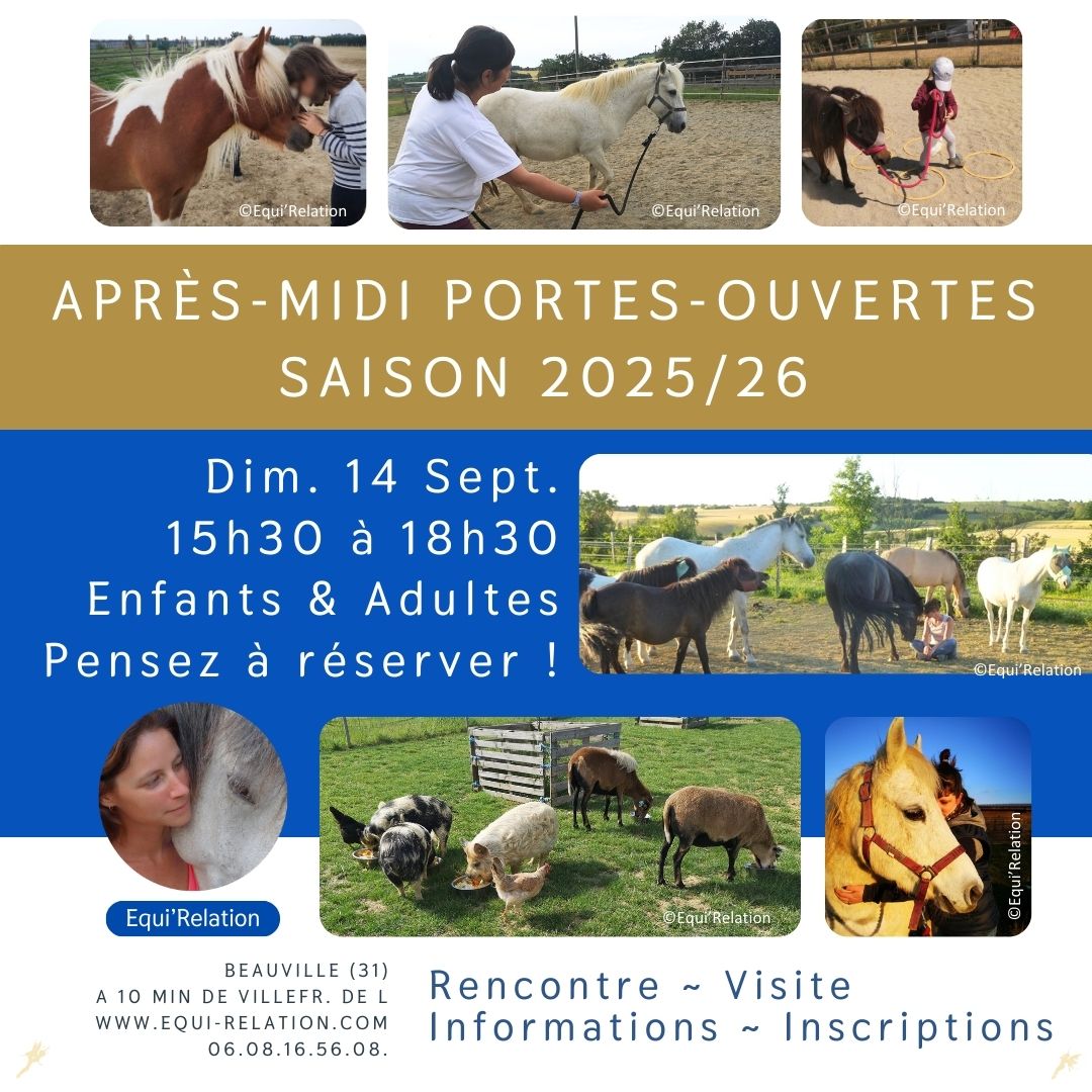 Agenda Stage adulte sur la Communication