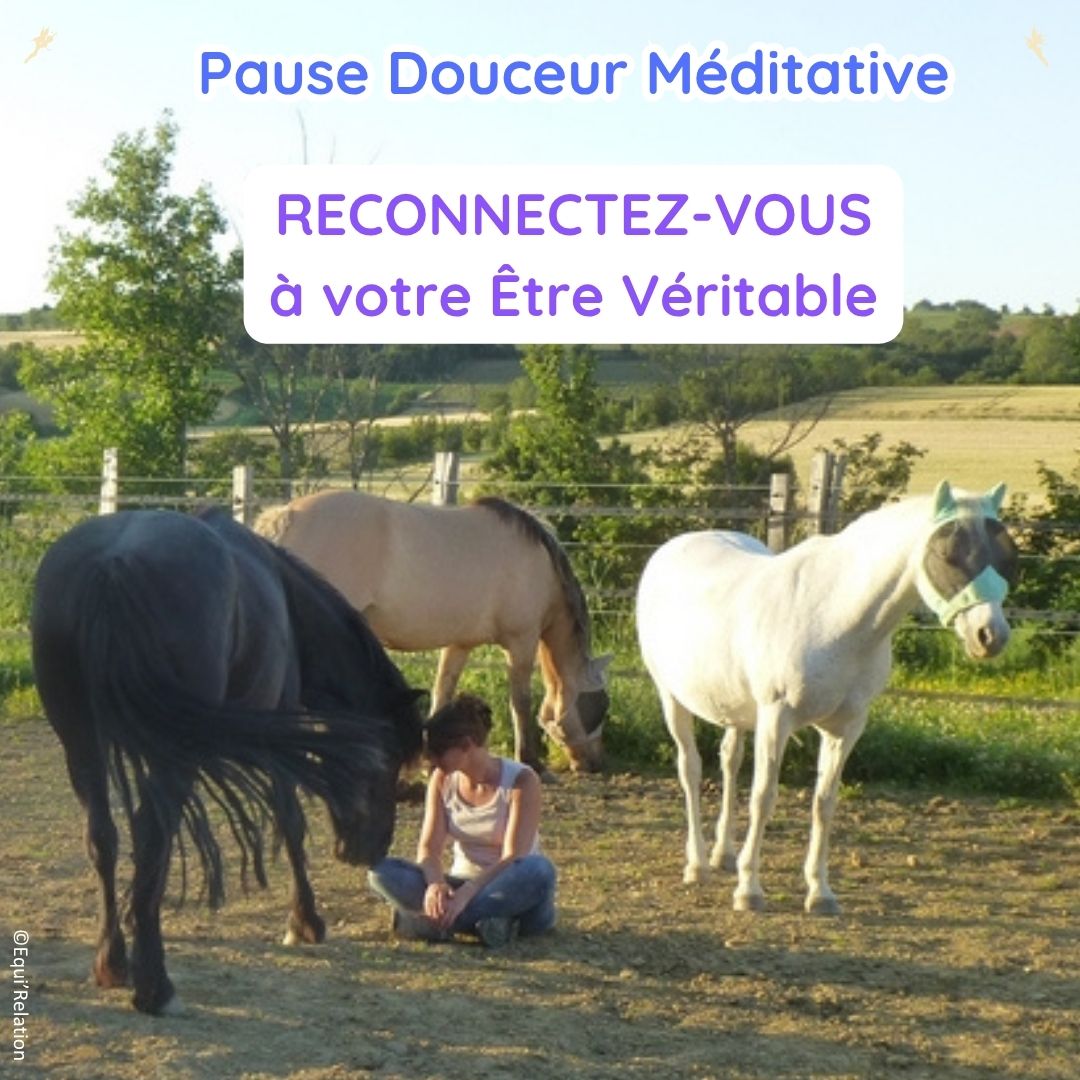 Agenda Stage adulte sur les émotions