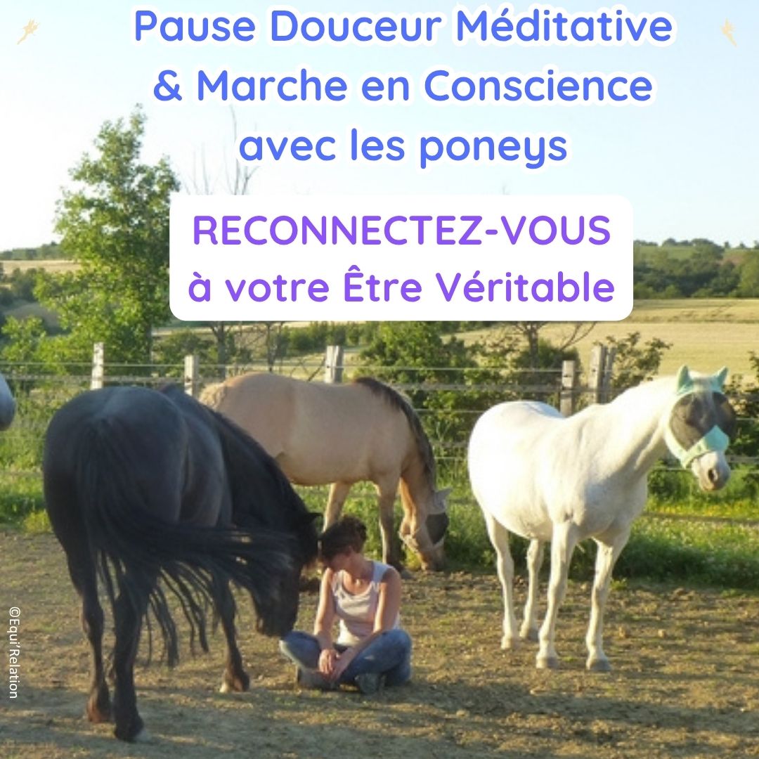 Agenda Stage adulte sur les émotions