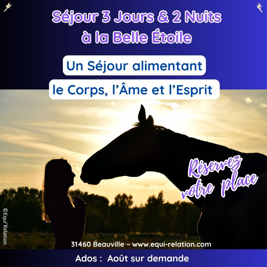 Stage Découvrir la Monte à cru Poneys Noel