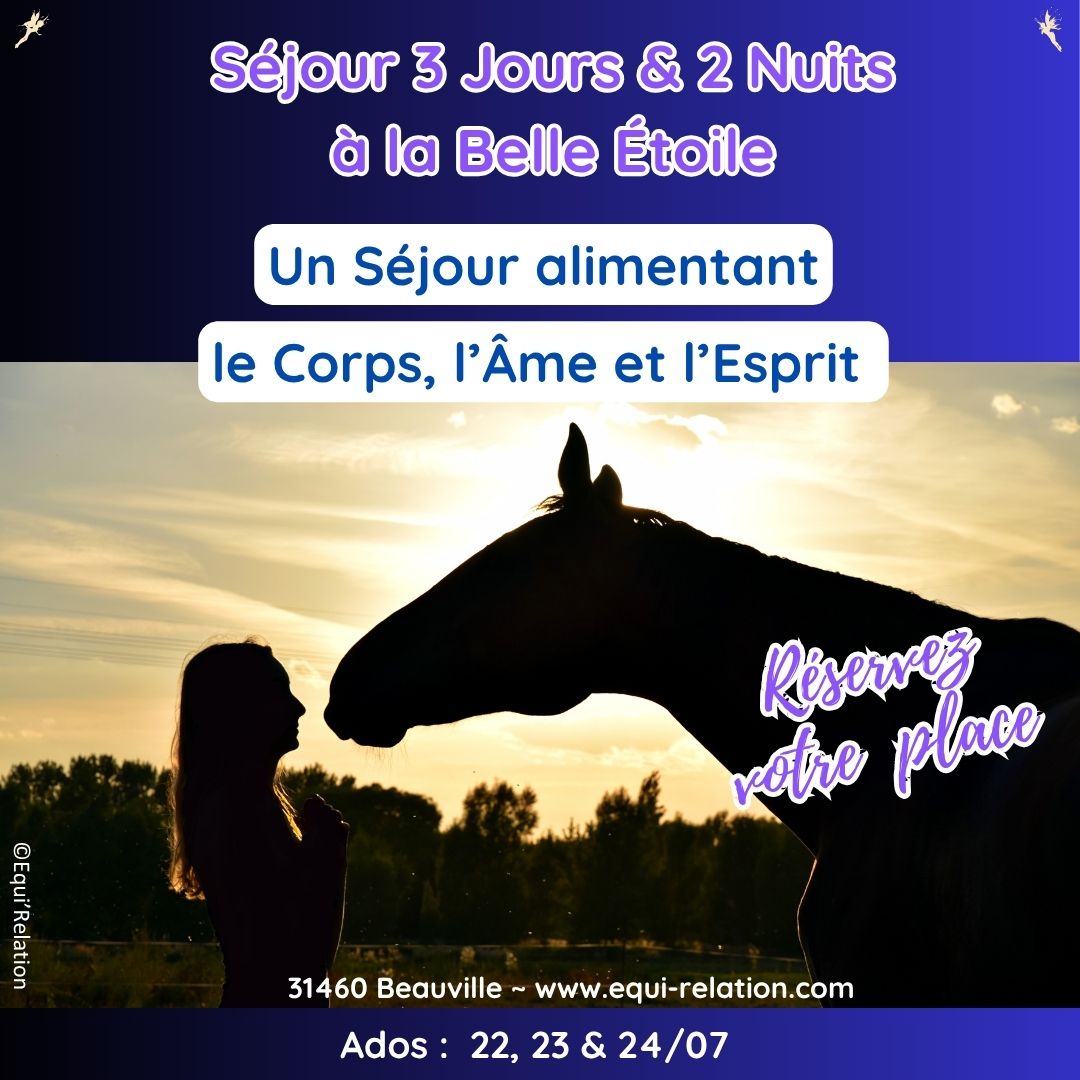 Stage Tout Petits Poneys Noel